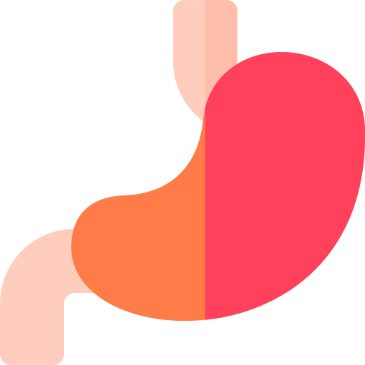 Stomach Basic Rounded Flat icon