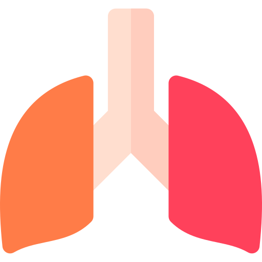 Lungs Basic Rounded Flat icon