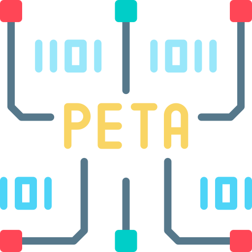 페타 바이트 Special Flat icon