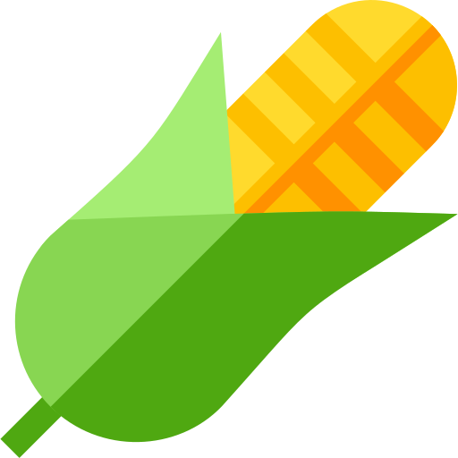 Corn Basic Straight Flat icon