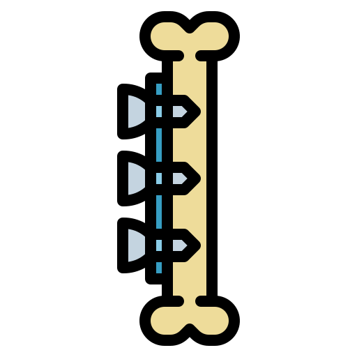 뼈 Ultimatearm Lineal Color icon