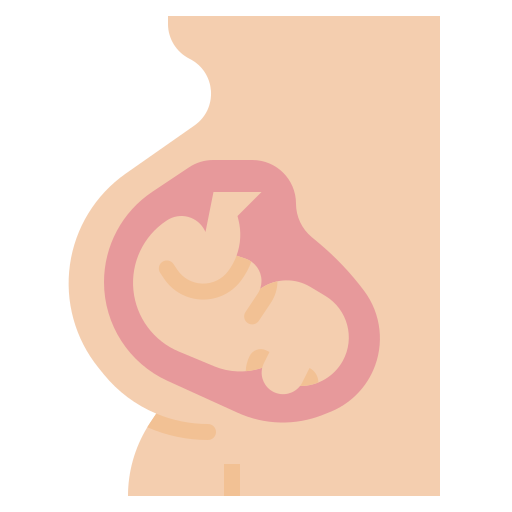 Pregnant Ultimatearm Flat icon