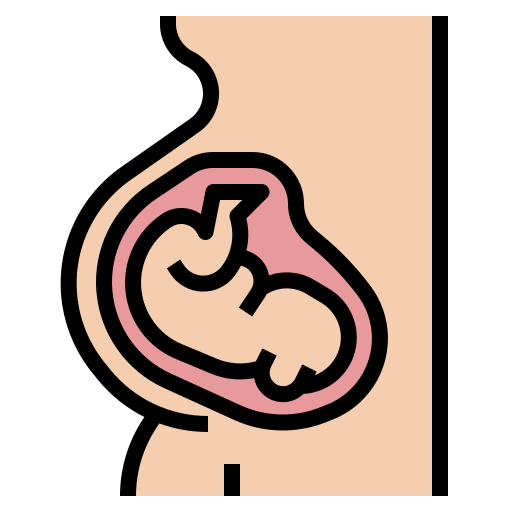 Pregnant Ultimatearm Lineal Color icon