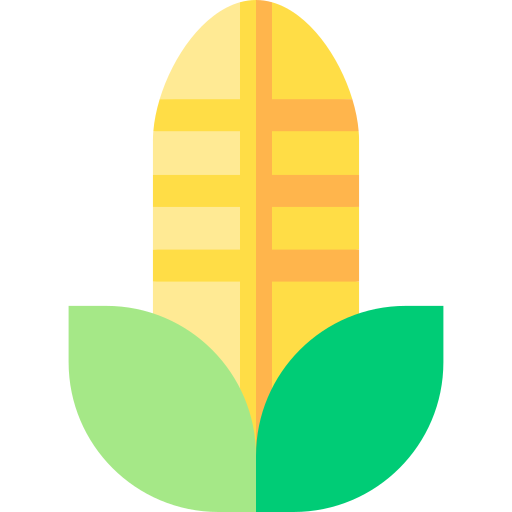 kukurydza Basic Straight Flat ikona