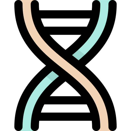 Dna bqlqn Lineal Color icon