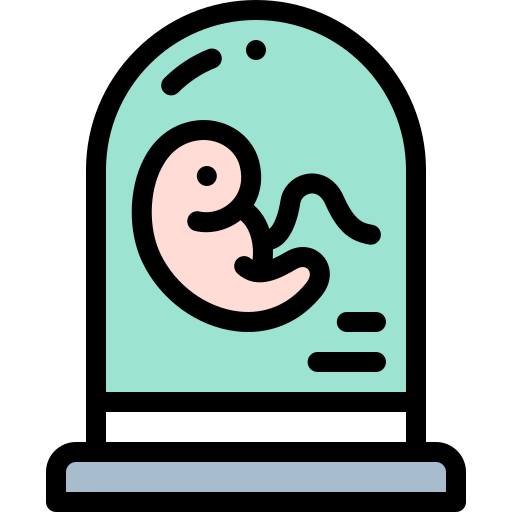 Эмбрион Detailed Rounded Lineal color иконка