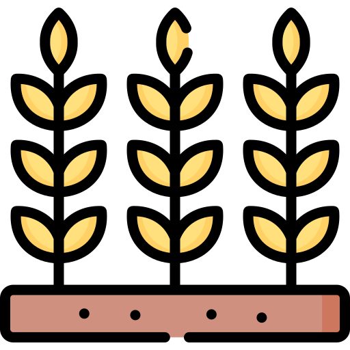 trigo Special Lineal color icono