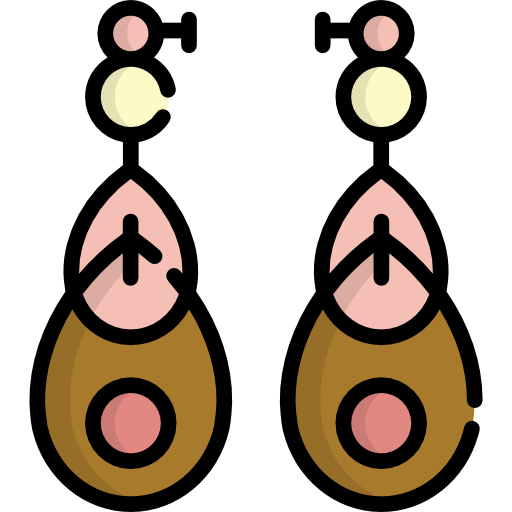 orecchini Special Lineal color icona