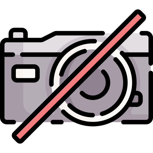 No camera Special Lineal color icon