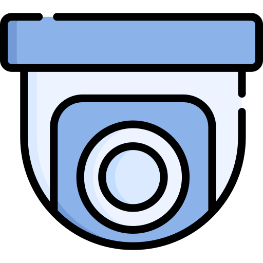 cámara de seguridad Special Lineal color icono