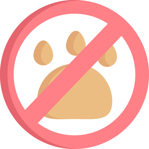 No animals Special Flat icon