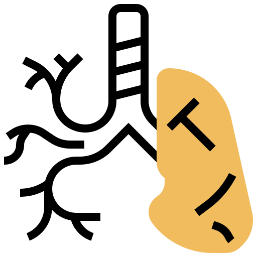 bronchus Meticulous Yellow shadow icon