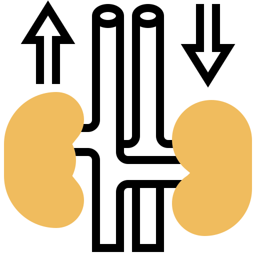 Kidneys Meticulous Yellow shadow icon