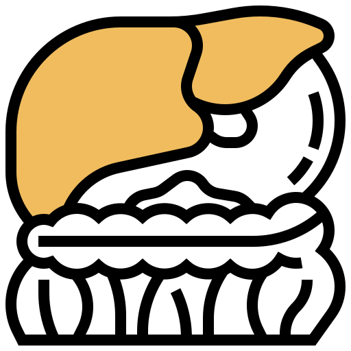 Liver Meticulous Yellow shadow icon