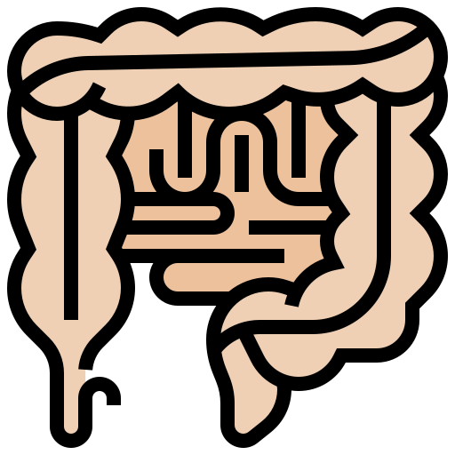 Intestine Meticulous Lineal Color icon
