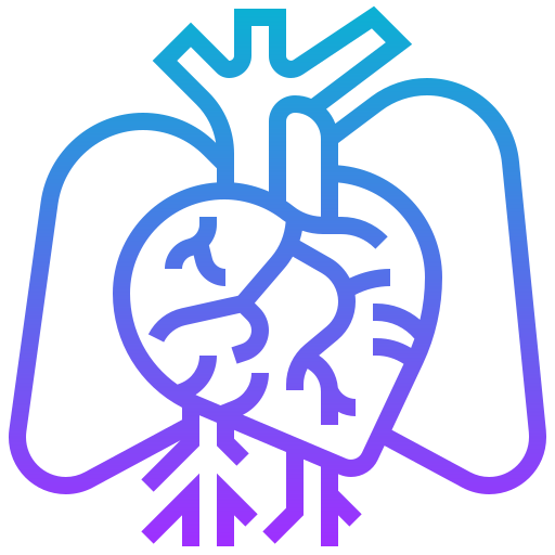 心臓 Meticulous Gradient icon