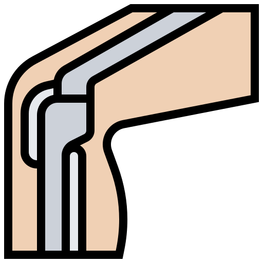 rodilla Meticulous Lineal Color icono