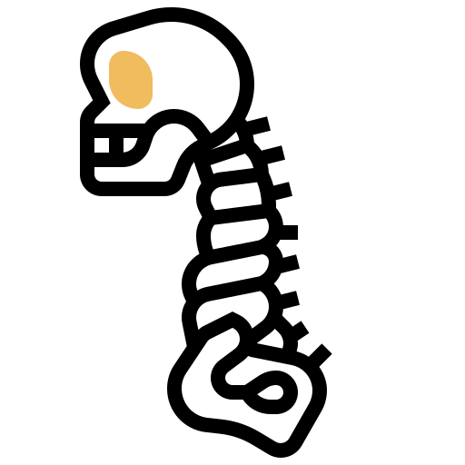 colonna vertebrale Meticulous Yellow shadow icona