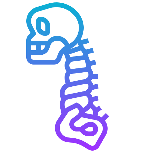 脊椎 Meticulous Gradient icon