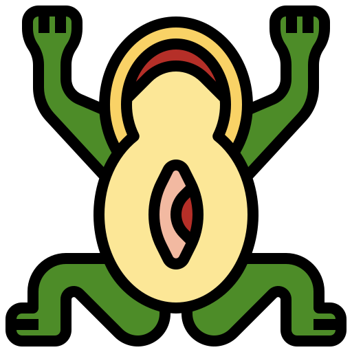 Frog Surang Lineal Color icon