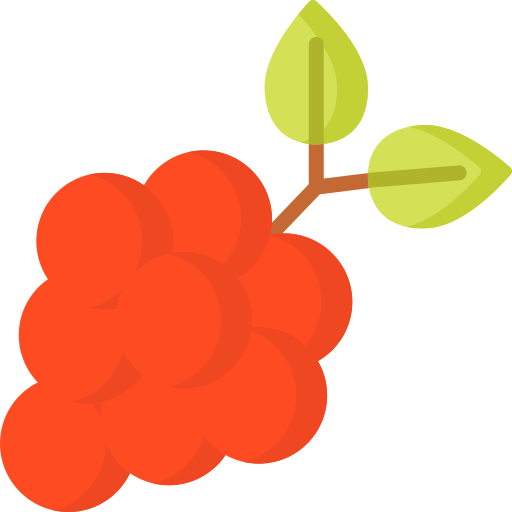Grapes Special Flat icon