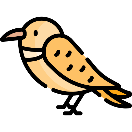 Птица Special Lineal color иконка