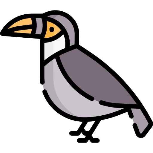 Toucan Special Lineal color icon