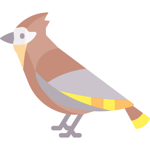 ptak Special Flat ikona