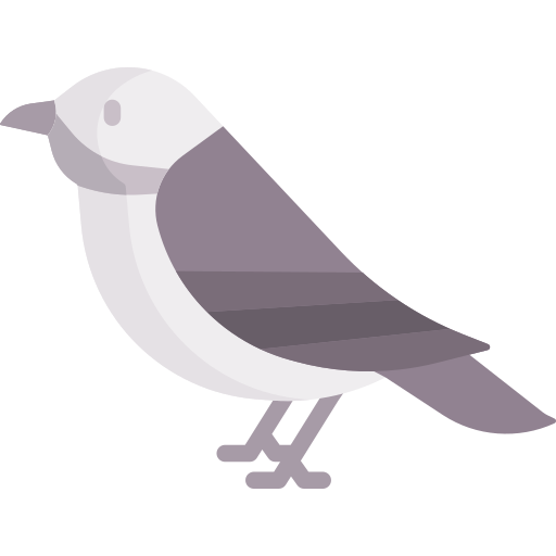 Bird Special Flat icon