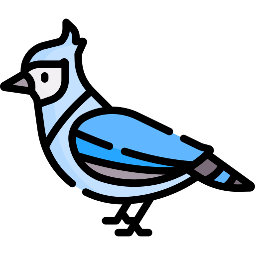 Bird Special Lineal color icon