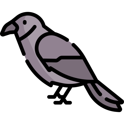 Crow Special Lineal color icon