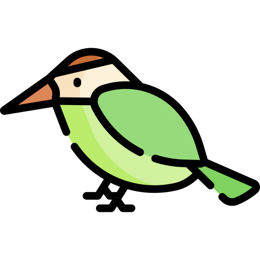 colibrì Special Lineal color icona