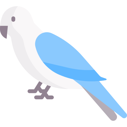 Parrot Special Flat icon