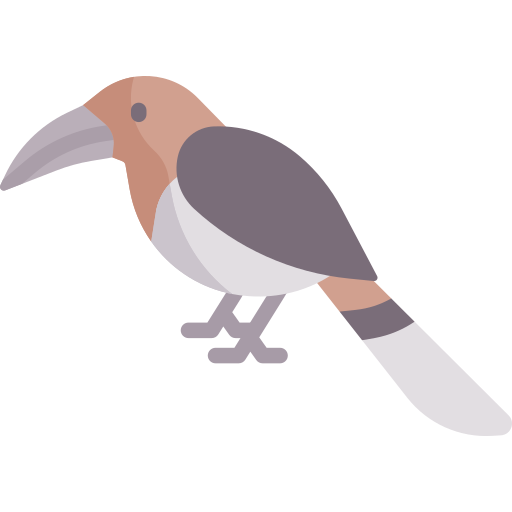hornbill Special Flat icon