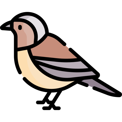 ptak Special Lineal color ikona