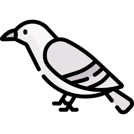 鳩 Special Lineal color icon