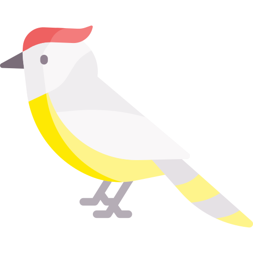 Cockatoo Special Flat icon