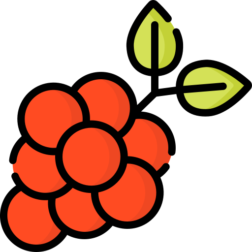 포도 Special Lineal color icon