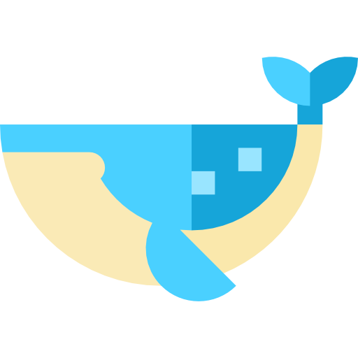 ballena Basic Straight Flat icono