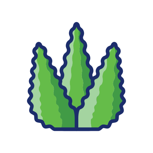 Aloe vera Flaticons Lineal Color icon