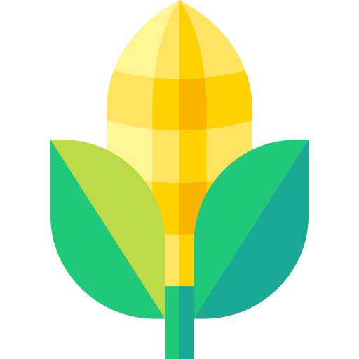 maíz Basic Straight Flat icono