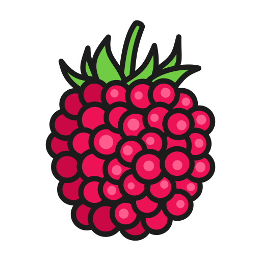 Raspberry Generic Outline Color icon