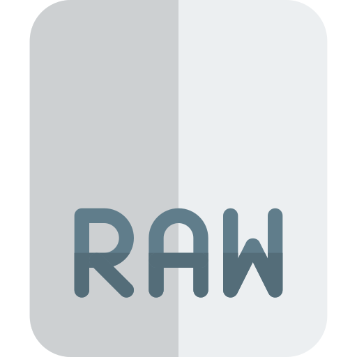 Raw format Pixel Perfect Flat icon