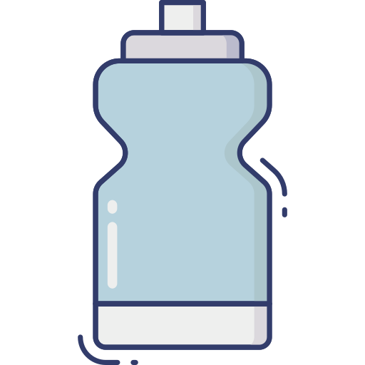 bouteille d'eau Dinosoft Lineal Color Icône
