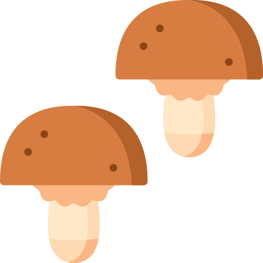 champignons Special Flat Icône