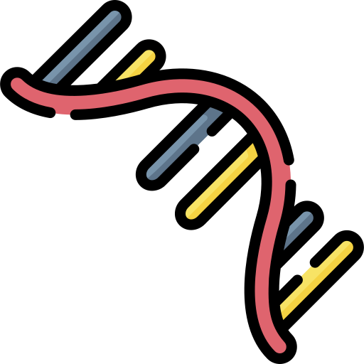 rna Special Lineal color icon