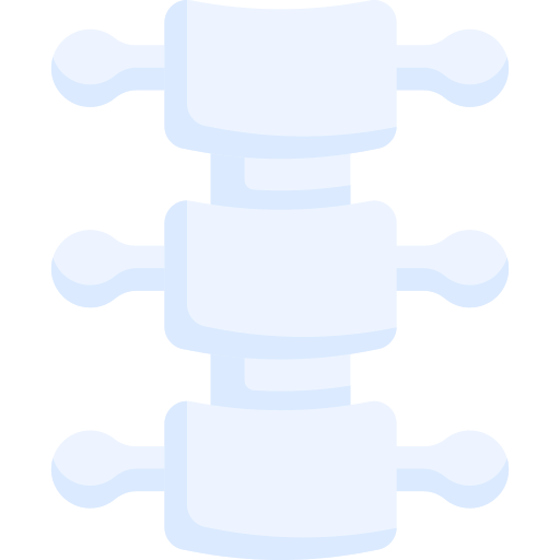 colonne vertébrale Special Flat Icône