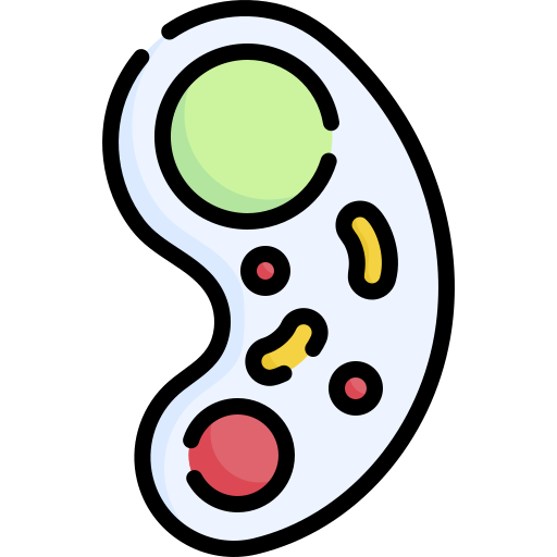Amoeba Special Lineal color icon