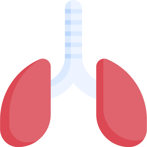 肺 Special Flat icon