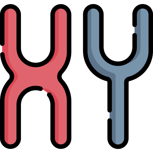 染色体 Special Lineal color icon